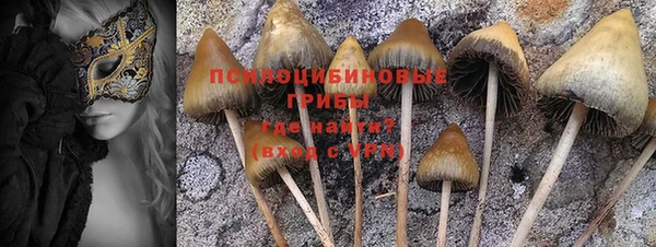 стафф Нязепетровск