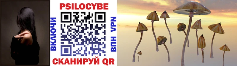 Псилоцибиновые грибы Cubensis ОМГ ОМГ ссылки Рязань