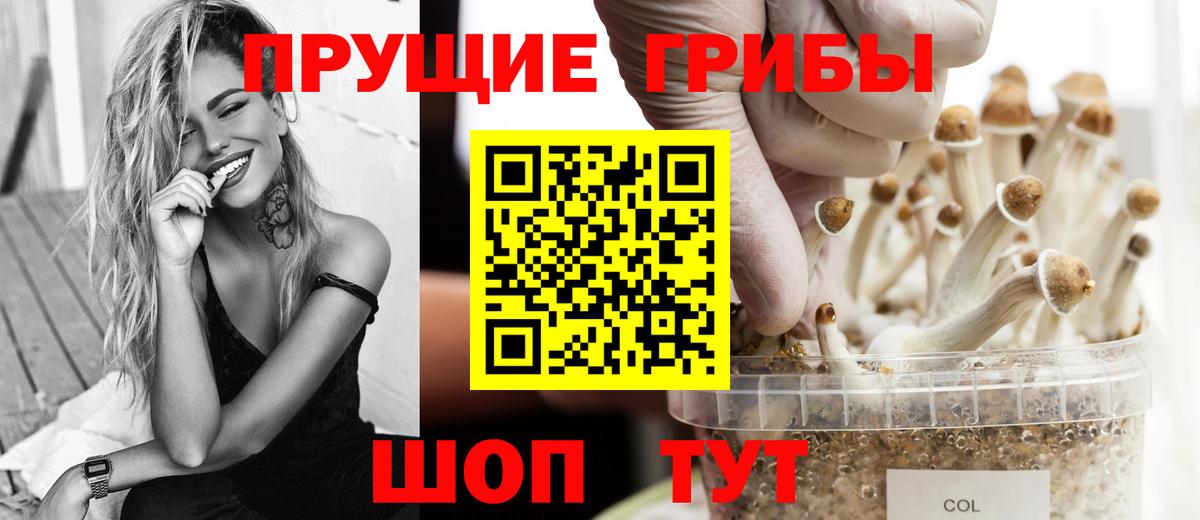 Галлюциногенные грибы Magic Shrooms  Вход с VPN  Рязань 